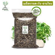 เมล็ดต้นอ่อนทานตะวัน Organic100%เกรดนำเข้าจากประเทศมองโกเลีย ต้นสูงงอกไว เมล็ดพันธุ์ผัก เมล็ดสำหรับเ