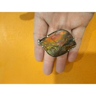 Ammolite 3rd Eye 天眼型斑彩螺
