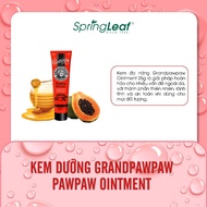 Spring Leaf Grand Pawpaw Multi-Purpose Moisturizing Cream 25g Papaya Extract Helps To Nourish The Skin And Lips Effectively
