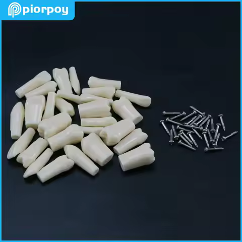 Removable Dental Typodont Screw-in Teeth Model Practice Individual Replacement Compatible Nissin Den