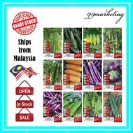 Jom Tanam Hybrid Vegetable Seeds Biji Benih Sayur Cili Kacang Panjang Bendi Peria Melon Pokok Buah P