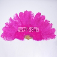 Ostrich Feather Fan Ornament Ostrich Feather Fan Colorful Feather Fan Stage Performance Dance Feathe