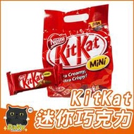 【達努貓】雀巢奇巧迷你巧克力 kitkat 好市多 迷你巧克力 巧克力威化餅 巧克力餅乾 巧克力