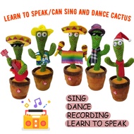 Songs Tik Tok Electric Cactus Dancing Cactus Twist Cactus Twist Singing Dance Birthday Dancing Talking Recordin