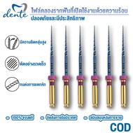 DENTE Dental Endo Motor Root Canal File Engine Rotary COD