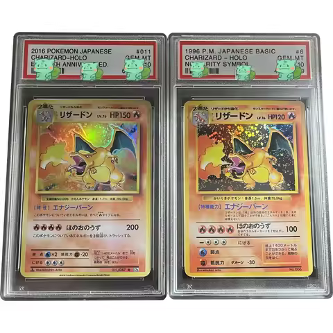 DIY PTCG Rating Card 1996 P.M. JAPANESE CHARIZARD-HOLO Collection Card PSA10 Points with Card Case H