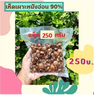 เห็ดเผาะหนังอ่อน 90% ต้มน้ำเกลือแพ็ค 250 กรัม