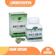 Soursop Leaves Herbal Bottle 30's Capsules Cap Jamu Iboe | Cancer Patient Health Supplement