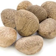 Kluwak/ kluwek/ kepayang 500 grams