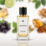 SCENTRIUM ENIGMA | Inspired by N-shane Ani | Perfume EDP Unisex | Vanilla Warm Spicy Woody