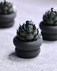 黑帝斯龍舌蘭按键鎖匙扣 鑰匙圈/吊飾/多肉塊根/辦公室擺設/盆栽