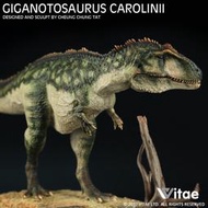 【特惠】Vitae為牠香港張宗達侏羅紀恐龍 霸王龍96500南方巨獸龍暴龍玩具  露天市集