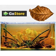 Daun Ketapang/ Catappa Leaf/ PH Stabilizer For Pet Fish, Betta, Channa, Lobster/ Fish Stress Reliever/ Anti Bacterial