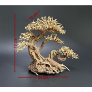 bonsai aquascape/aquarium driftwood handmade Azalea wood