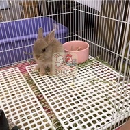 [Size 26 34 cm] Cage Mat Rabbit Thick Plastic Strong And Durable Pet Mat Rabbit Mat Pet Floor Mat