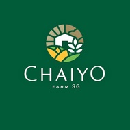 Fennel (Florence)(Organic) ,  seeds