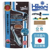 小郭水族-高夠力Hikari【 舞 幼魚 稻田魚專用營養飼料40g】仔魚 楊貴妃 將魚 孔雀魚 稻田魚飼料