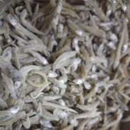 Ready kalimantan 1/4kg Anchovy Sort medan Anchovy Rice