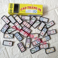 Entertainment Domino Set