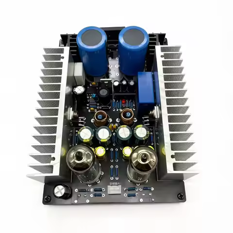LM1875 6A2 6K4 5654 Tube Amplifier 30W +30W HIFI Vacuum Tube Board 2.0 Channel AMP
