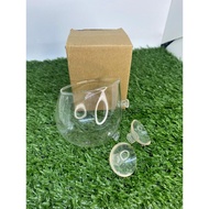 Small Size Cup Holder For Bubble Tip Anemone In Aquarium