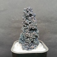 Silver Pillar Leklai 银色柱子力泥 Leklai Goethite 100% Natural Leklai