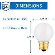 25 Watt Light Bulbs Equivalent E26 Frosted Globe Light Bulb, 2W LED Light Bulb 2700K Warm White G16.