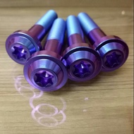 M4/gsx/m50 caliper screw - titanium