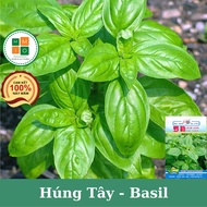 Basil and basil seeds