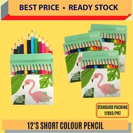 (RM2) OKADA 12'S SHORT COLOUR PENCIL / COLOUR PENCIL / COLOURING / SHORT COLOUR PENCIL