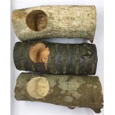 [Happy Insects Falling Heaven] Unicorn.stag Beetle.beetle.beetle.insect. [16g Single Hole Jelly Dish