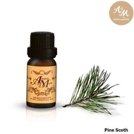 Aroma&amp;More Pine (Scotch Pine) น้ำมันหอมระเหยไพน์ 100% บัลกาเรีย 10/30/100ML