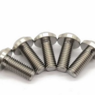 Gr5 TC4 Titanium Alloy Screw Disc Head Hexagon Socket Screw Titanium Alloy Di
