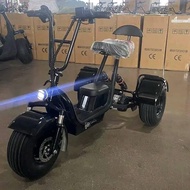 Original products Brand New Electric 3Wheel Rooder Ebike