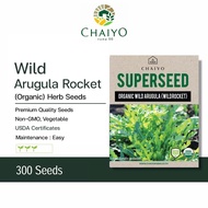 Wild Arugula Rocket (Organic) Herb Seeds, 300 Seeds