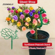 ZOOMINGJ3 Peacock Shape Trellis, Outdoor Pot Holder Plant Support,  Stick Frame Plant Support Stand 