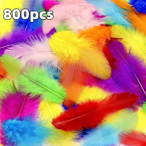 800/100Pcs Colorful Feathers 3-5-inch Craft Feathers Wedding Family Party Decorations, Dream Catcher