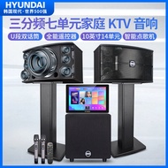 Hyundai BT110 Home KTV Sound System Set Karaoke One-Box Machine Speaker Wood Material Entertainment 