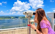 Seoul DMZ, North Korea View, & Starbucks Half-Day Tour