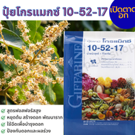 ปุ๋ยเกล็ดโกรแม็กซ์ ปุ๋ยเร่งดอก ปุ๋ยน้ำทางใบ กิฟฟารีน สูตร 10-52-17 สร้างดอก พัฒนาราก เสริมสร้างการผส