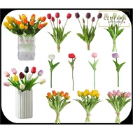 Darwin Tulip Flower for Home Bedroom Decor l Pasu Bunga Hiasan Bunga Hiasan Dalam Rumah Bunga Tulip 