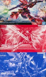 HG Destiny Gundam SpecII + GELGOOG Menace Set