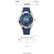 Omega Seamaster Series Aqua Terra Watch