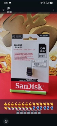 💯🆕Guarantee💚Functioning Properly👍World Famous Top brand🔎SanDisk🔍Ultra Fit👍USB-3.2Gen-1 Flash Drive 👍