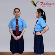 Falcon School Uniform Navy Blue School Skirt 200