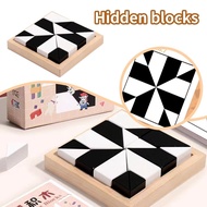 Hidden Building Blocks Children's Educational Toy Puzzle I4U3