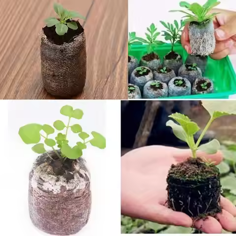 10Pcs 30 mm Garden Flowers Planting Soil Block Round Peat Pellets Seed Starting Plugs Pallet Seedlin