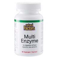 Natural Factors Multi Enzyme 90's