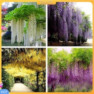 (Bakilili) Vine Wisteria Artificial Flowers Wedding Arch Gazebo Decoration Home Garland