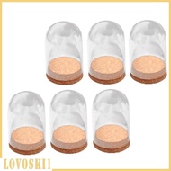 [Lovoski1] 5Pcs Mini Glass Hemisphere Cloche Jar Cover Decor